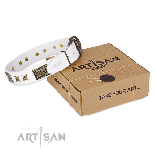 Rust-proof D-ring on genuine leather collar for your beautiful dog