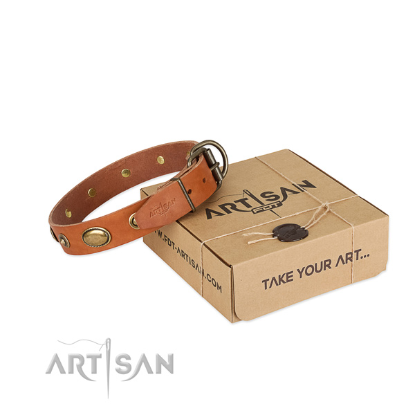 Durable buckle on full grain natural leather dog collar for your four-legged friend