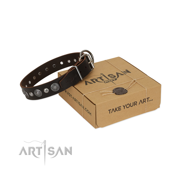Durable leather dog collar with impressive adornments