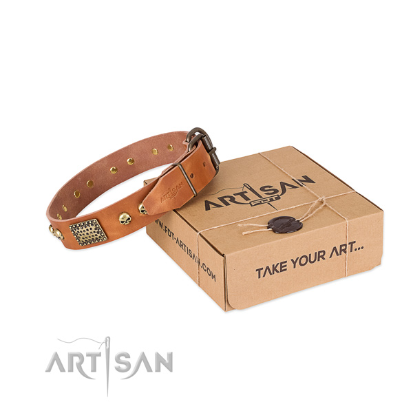 Durable hardware on dog collar for everyday walking