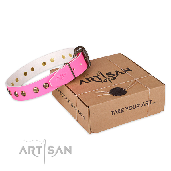 Corrosion proof traditional buckle on natural genuine leather collar for your beautiful pet