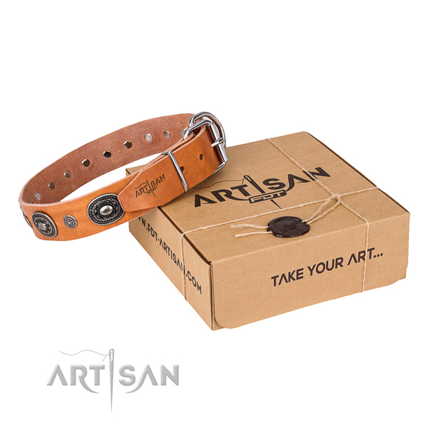 Best quality full grain natural leather dog collar created for stylish walking