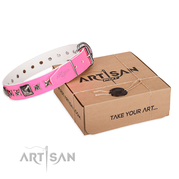 Daily walking full grain natural leather dog collar with embellishments