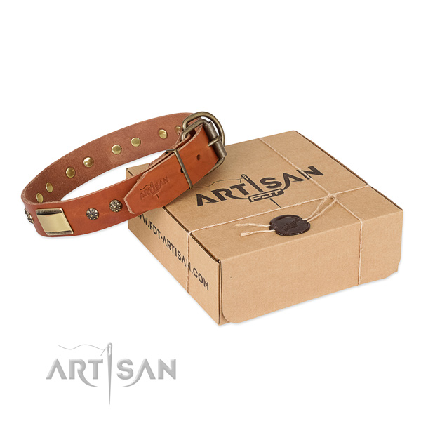 Incredible natural genuine leather collar for your attractive dog