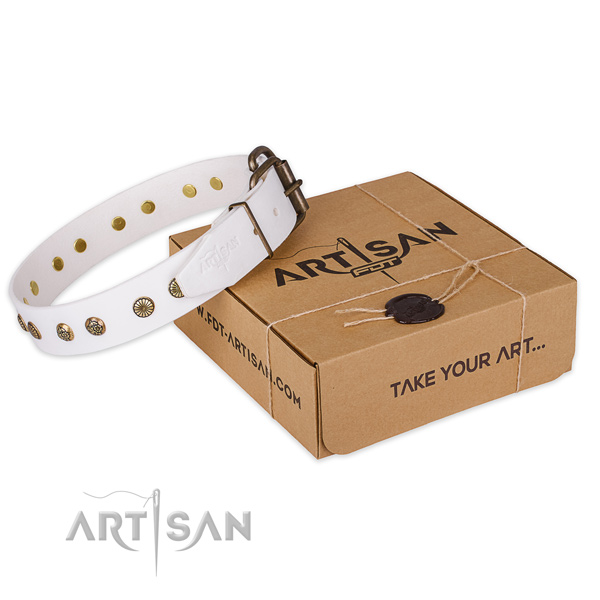 Reliable hardware on full grain natural leather collar for your attractive pet