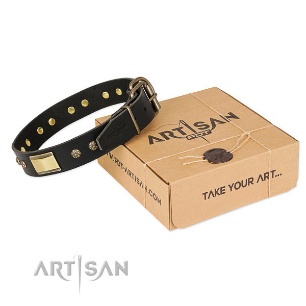 Convenient full grain leather collar for your attractive pet