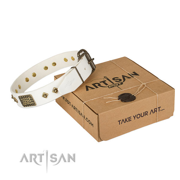 Perfect fit genuine leather collar for your attractive canine