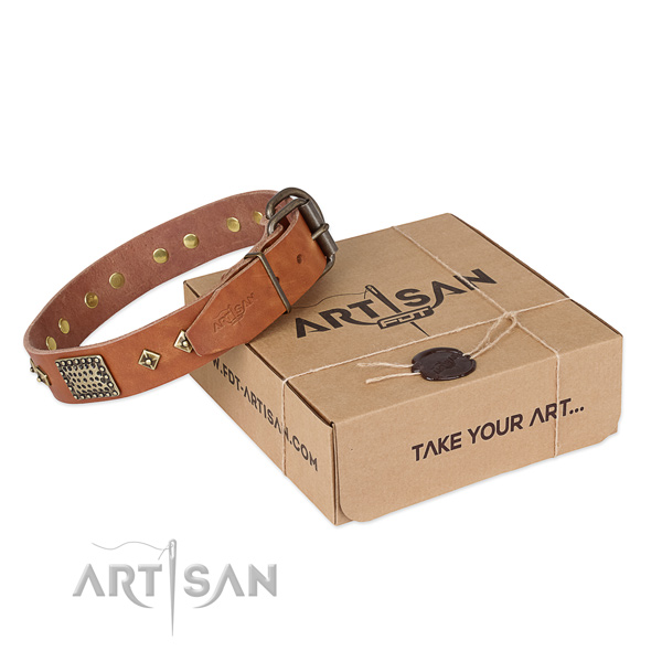 Designer full grain genuine leather collar for your beautiful four-legged friend