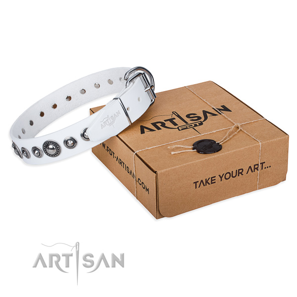 Full grain natural leather dog collar made of reliable material with strong hardware