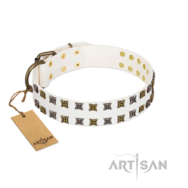 Flexible full grain leather dog collar with decorations for your pet