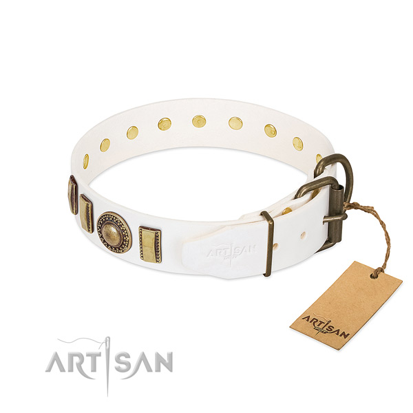 Amazing full grain natural leather dog collar with corrosion resistant buckle