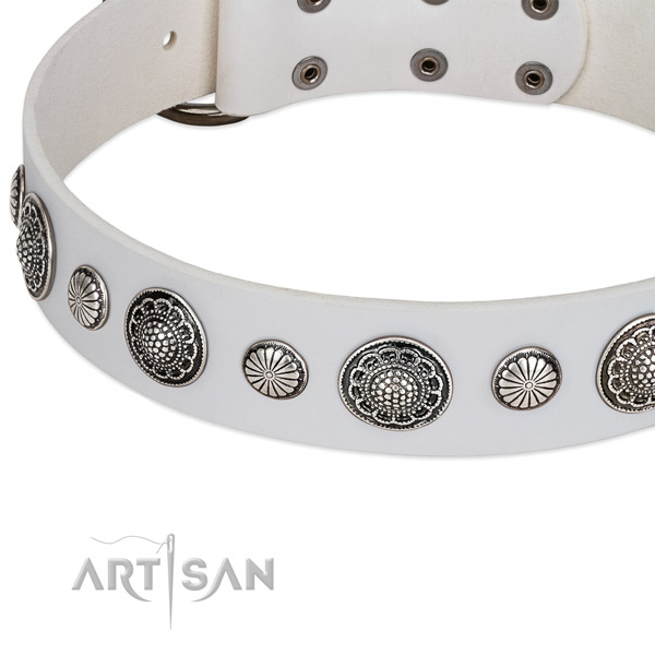 Full grain natural leather collar with rust resistant D-ring for your impressive pet