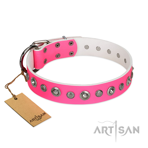 Fine quality natural leather dog collar with awesome adornments