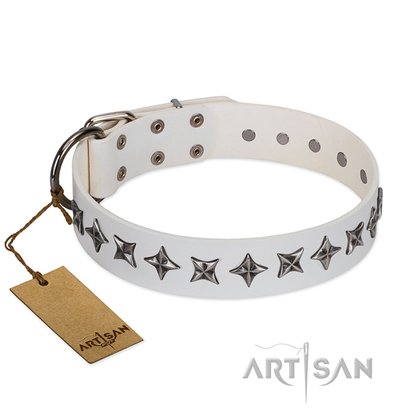 Walking dog collar of durable genuine leather with studs