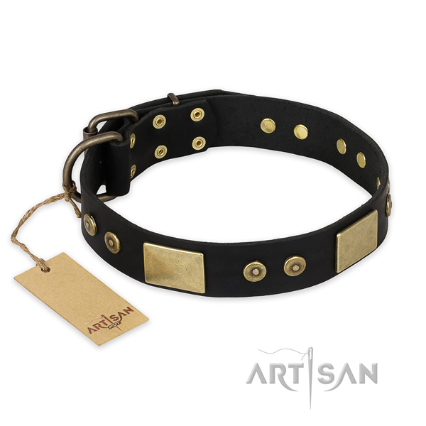 Awesome full grain genuine leather dog collar for everyday use