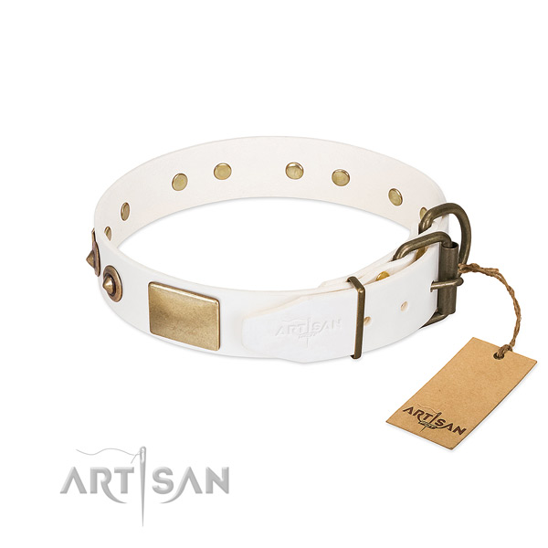 Corrosion resistant traditional buckle on full grain natural leather dog collar for your doggie