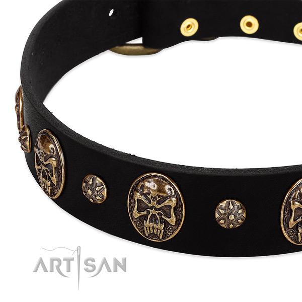 Rust resistant studs on full grain natural leather dog collar for your dog