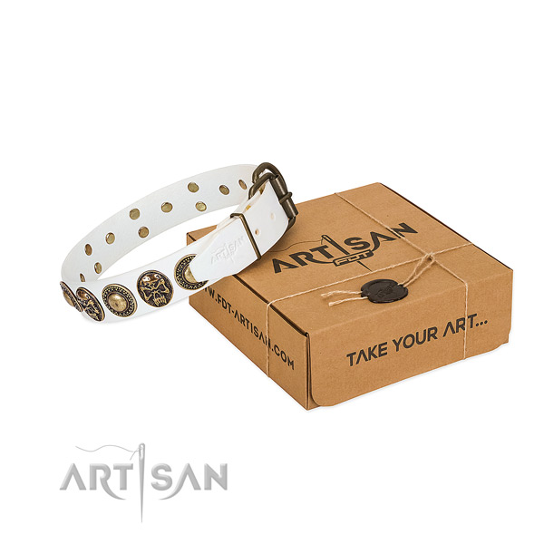 Corrosion resistant fittings on dog collar for easy wearing