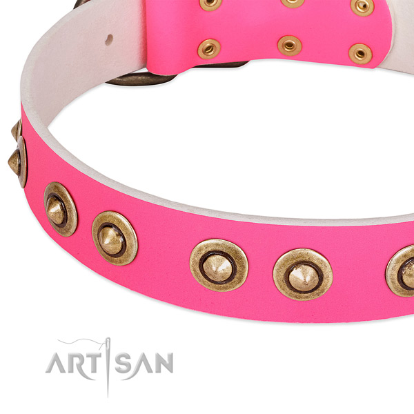 Corrosion resistant adornments on genuine leather dog collar for your doggie