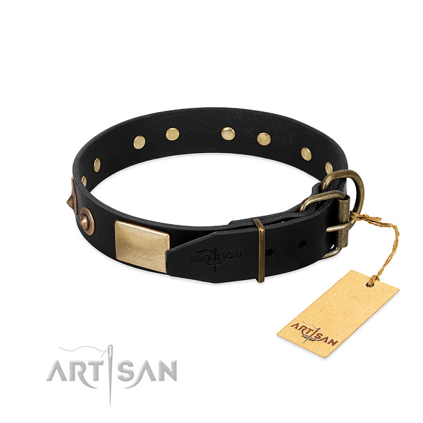 Corrosion resistant studs on walking dog collar