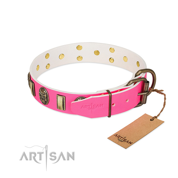 Strong embellishments on full grain leather dog collar for your canine