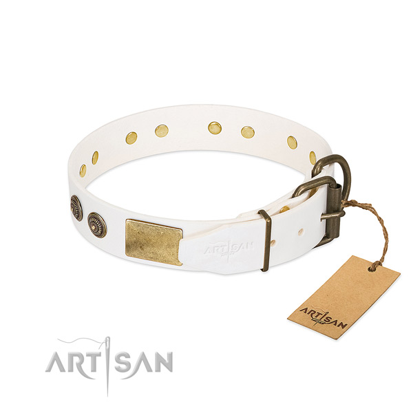 Durable fittings on leather collar for fancy walking your four-legged friend
