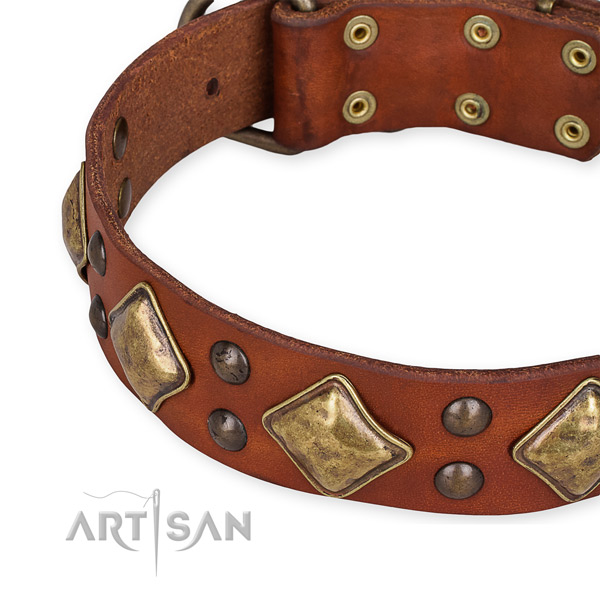 Full grain leather collar with rust resistant D-ring for your stylish canine