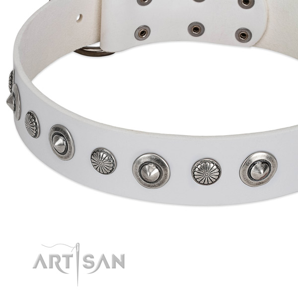 Full grain natural leather collar with rust-proof traditional buckle for your lovely canine