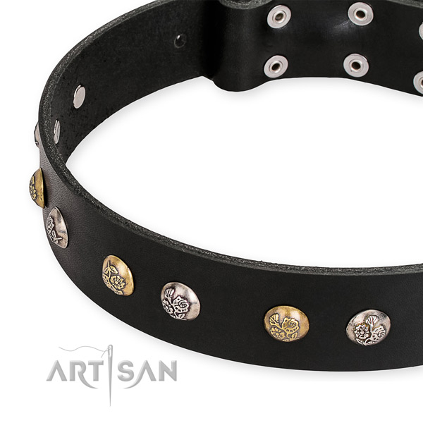 Full grain genuine leather dog collar with extraordinary strong embellishments