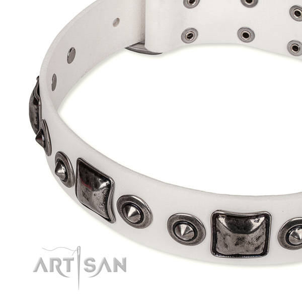 Best quality genuine leather dog collar made for your handsome dog