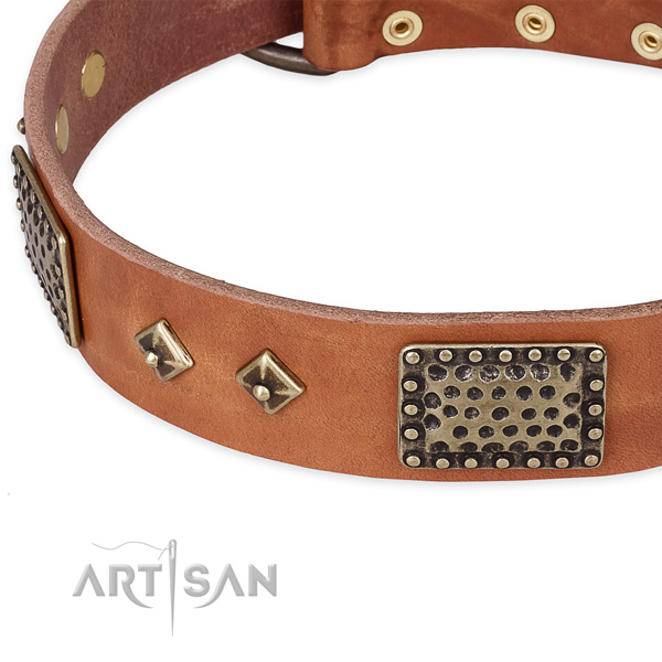 Rust resistant traditional buckle on full grain natural leather dog collar for your doggie