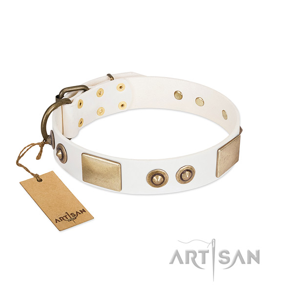 Reliable buckle on full grain natural leather dog collar for your canine