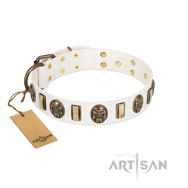 Easy wearing leather dog collar for daily walking