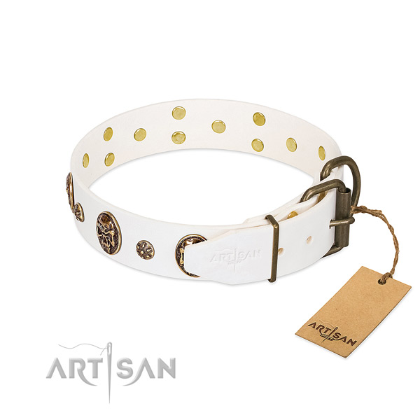 Durable traditional buckle on full grain genuine leather dog collar for your canine