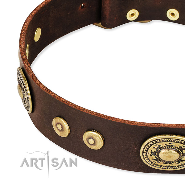 Adorned dog collar made of top notch natural genuine leather