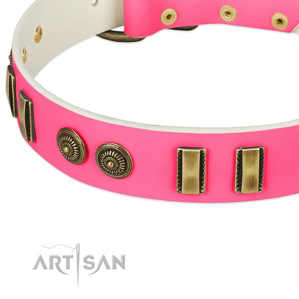 Reliable D-ring on genuine leather dog collar for your doggie