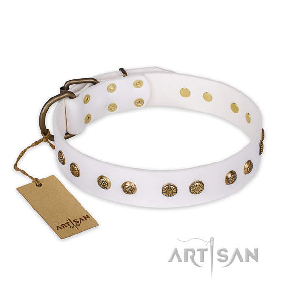 Impressive full grain leather dog collar with reliable buckle