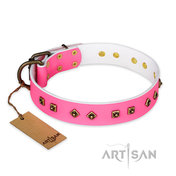 Comfortable leather dog collar with durable fittings