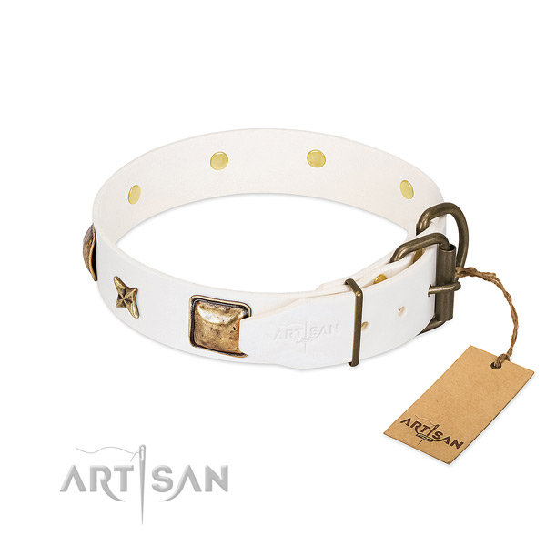 Full grain natural leather dog collar with rust resistant fittings and decorations