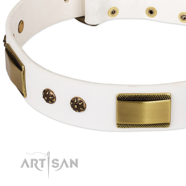 Corrosion proof embellishments on full grain natural leather dog collar for your canine
