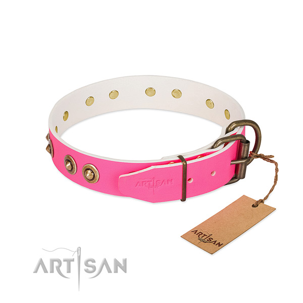 Genuine leather dog collar with reliable hardware and adornments