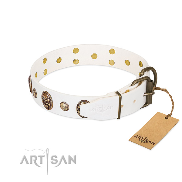Rust-proof fittings on genuine leather collar for basic training your four-legged friend