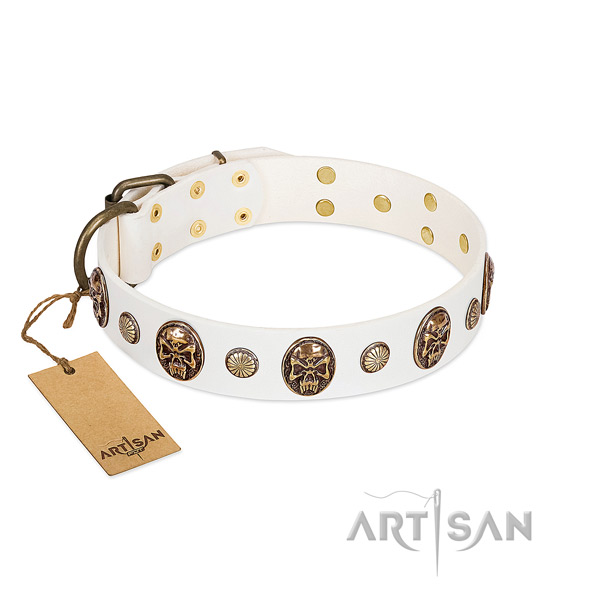 Extraordinary genuine leather dog collar for comfy wearing