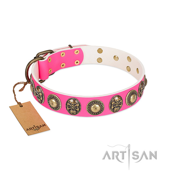 Adjustable full grain natural leather dog collar for basic training your canine