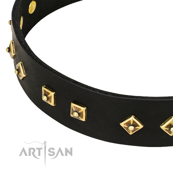 Impressive full grain natural leather collar for your beautiful pet
