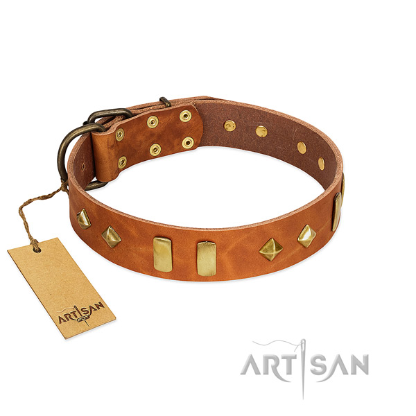 Stylish walking top notch natural leather dog collar with adornments