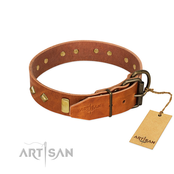 Fancy walking leather dog collar with stylish studs