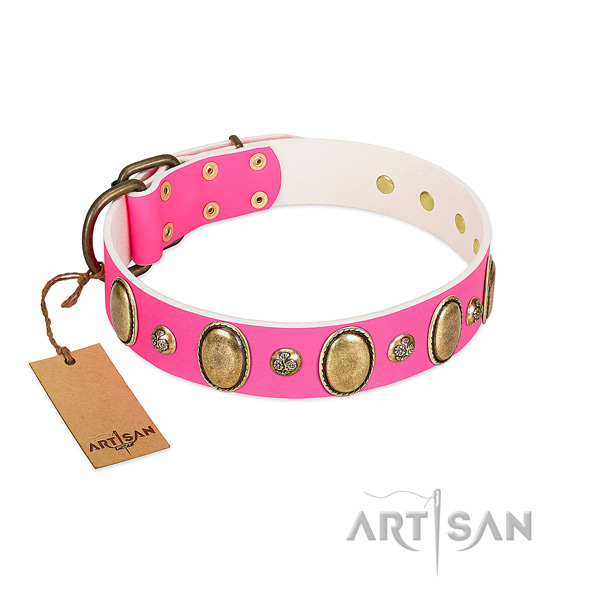 Full grain genuine leather dog collar of reliable material with inimitable studs
