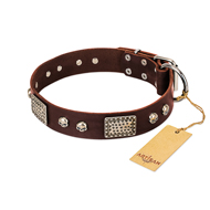 "Pirate Skull" FDT Artisan Brown Leather Mastiff Collar with Old Silver Look Plates and Skulls