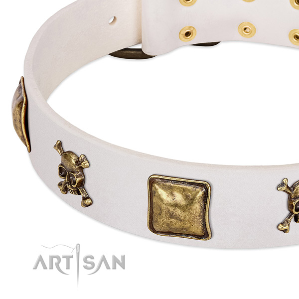 Exquisite leather dog collar with corrosion resistant embellishments